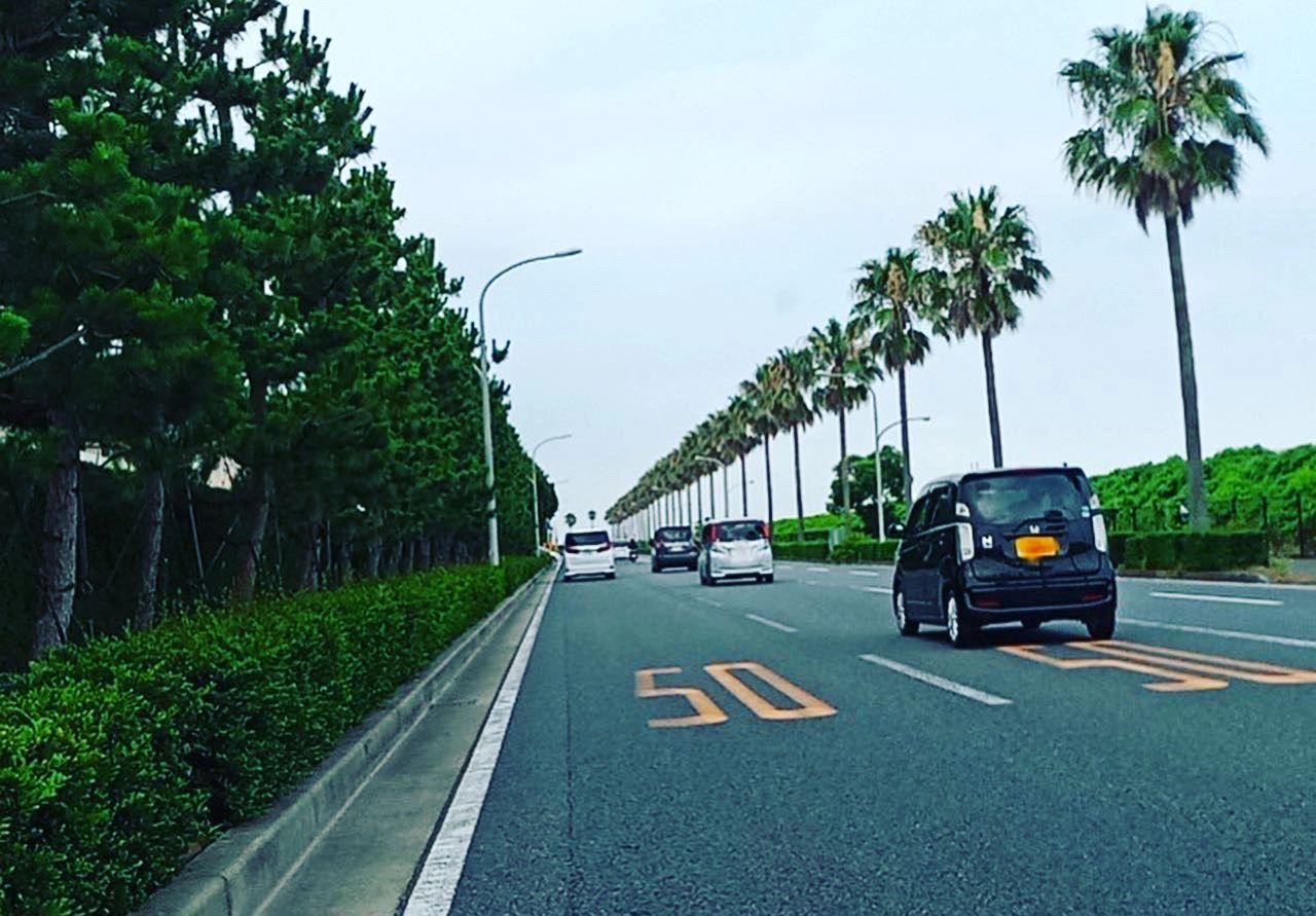 千葉県浦安市でのペーパードライバー講習🚗舞浜