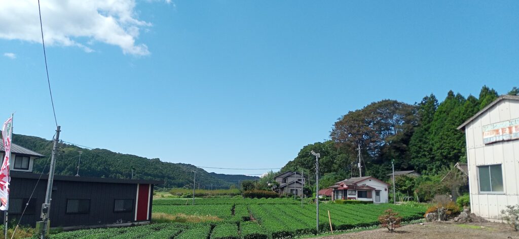 茨城県 でのペーパードライバー講習自然がいっぱいの風景