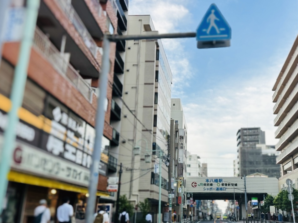 千葉県市川市 での ペーパードライバー講習 横断歩道の標識と風景