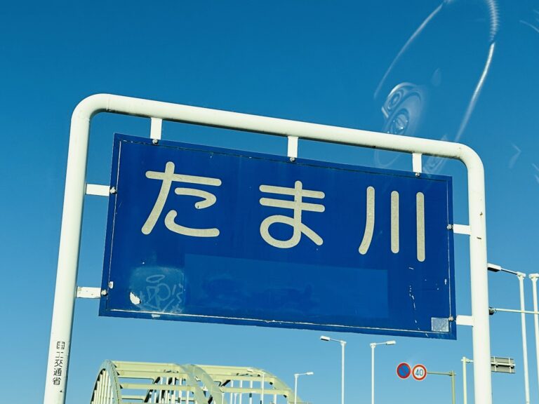 神奈川県 川崎市 多摩区 で 絶対に怒られない 出張ペーパードライバー講習