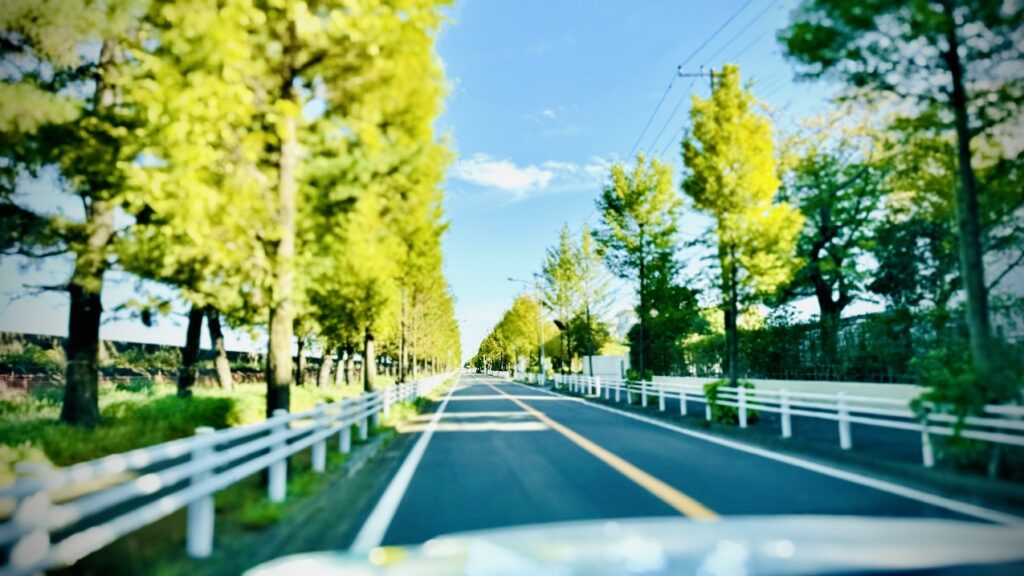 市川市 の ペーパードライバー講習 市川市のとある道路の風景写真