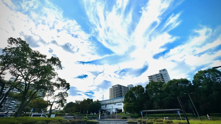 千葉市 美浜区 で絶対に怒られない ペーパードライバー講習 検見川浜駅の様子