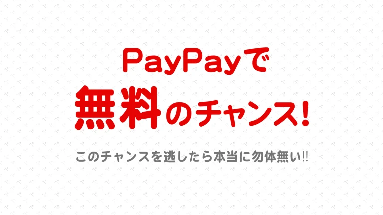 ペーパードライバー講習 が PayPay で無料になるチャンス到来！