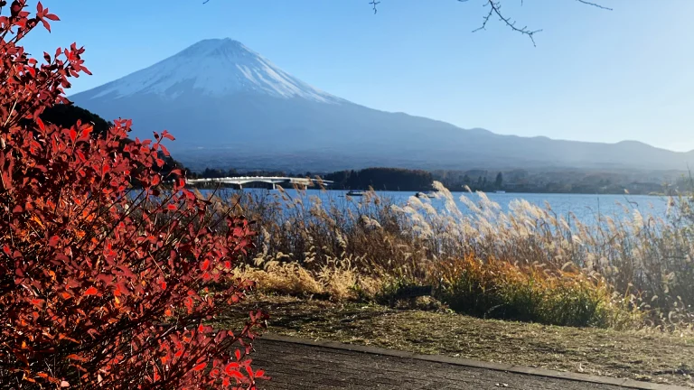 友人（モロッコ人）の希望で見に行った富士山と紅葉