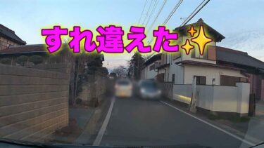 狭い道でのすれ違い_すれ違い成功